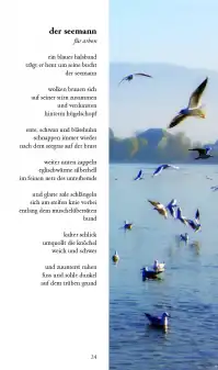 Das Licht in den Bäumen