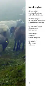 Das Licht in den Bäumen