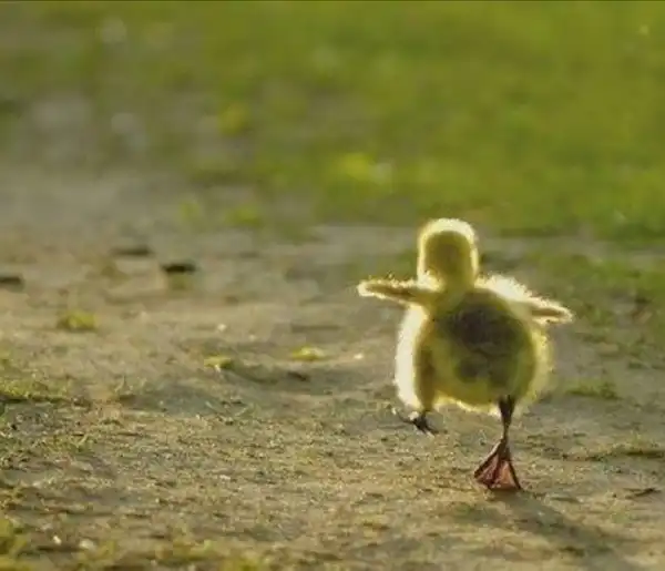 We are above a thousand! :)