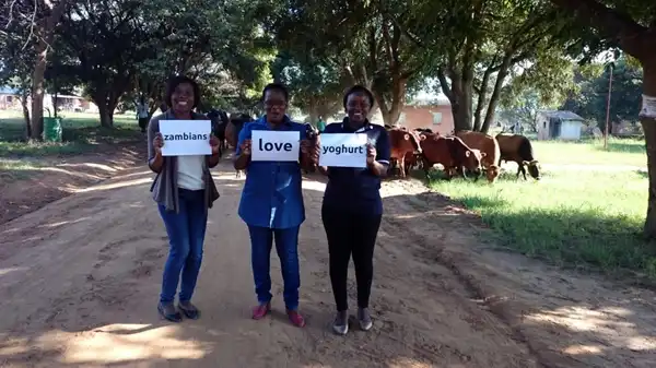 "SambierInnen lieben Joghurt!"
