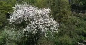 Der Lift ist bald gebaut