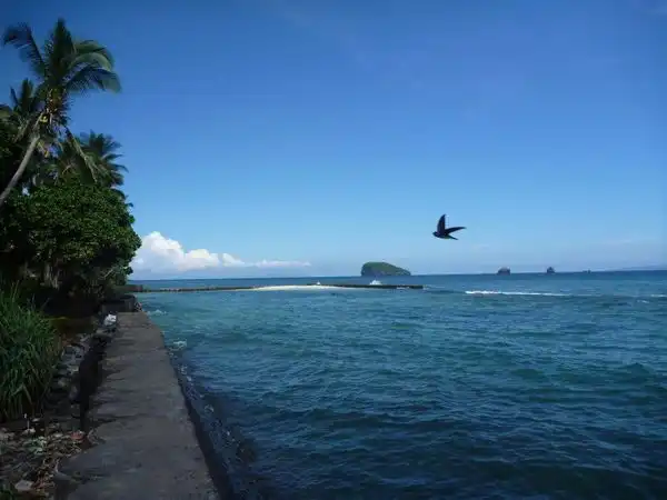 bmc®yoga retreats auf bali 2014