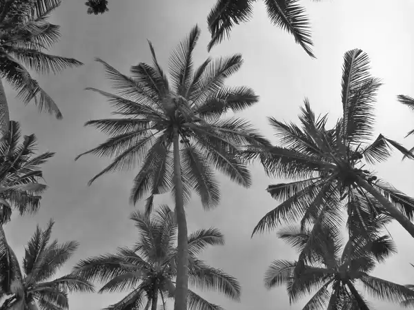 yoga retreats auf bali II