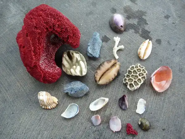 happy birthday sabine, marie-lou & paulo!!!