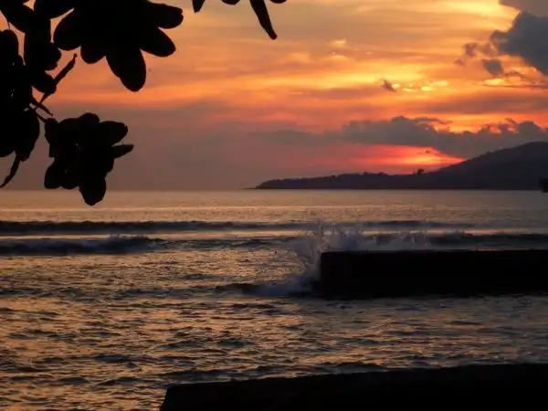 DANKE! THANK YOU! MUITO OBRIGADA!