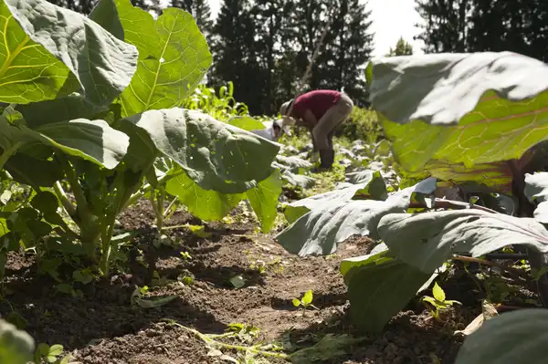 Von der Schuhfabrik in den Klostergarten