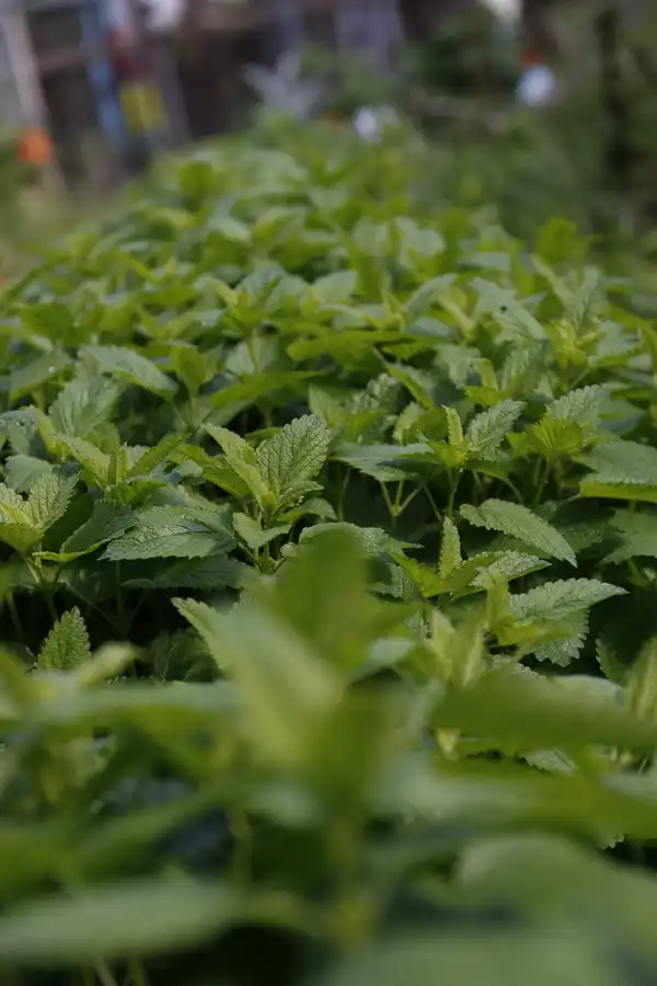 Ein gelungener Start dank euch!