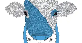 ANMELDEPLATTFORM IST ABGESTÜRZT!!