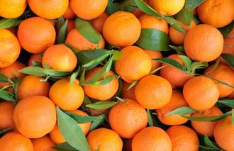 Crowdorder Orangen