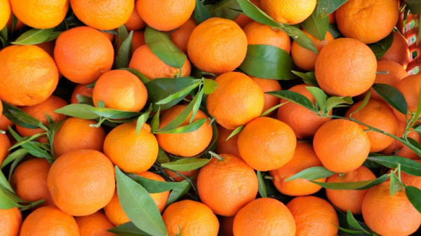 Crowdorder Orangen