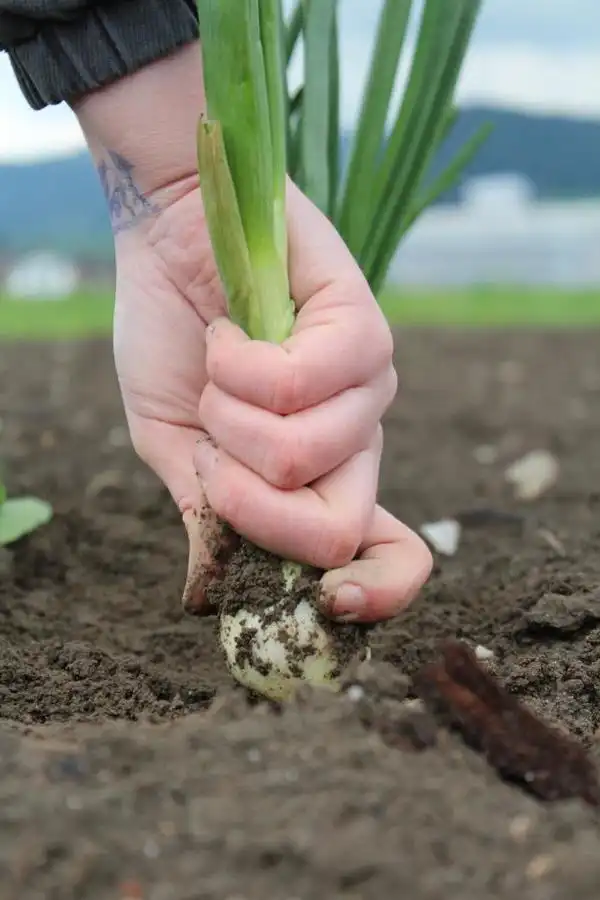 Wow! Herzlichen Dank!