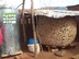 Graincontainers in Africa
