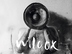 WILCOX DEBUT-ALBUM