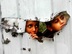 Kinder nähe Gaza-Streifen