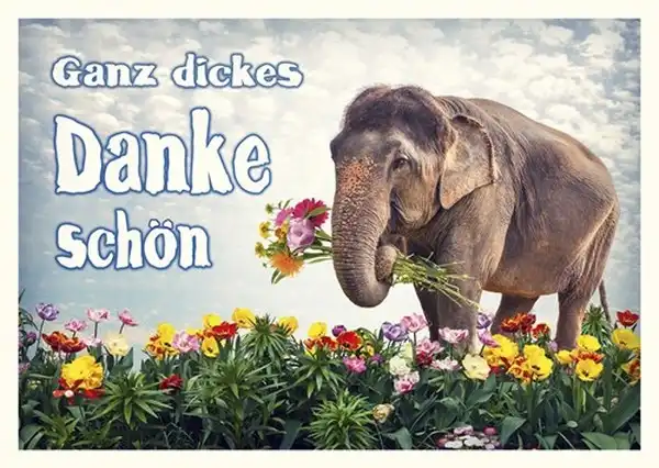 DANKE & Crowdfunding Event im "Foifi" - 28.11.2018/18:00 Uhr