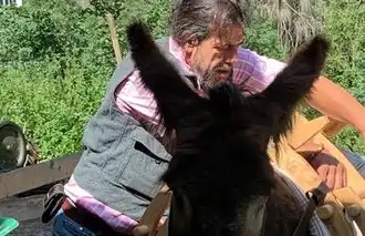 Millos Reise zur Sonne