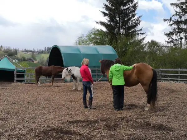 neues goodie! 50% auf die kurskosten von "drama trauma"