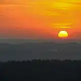 Purchasing forest Mbyá