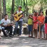 Purchasing forest Mbyá