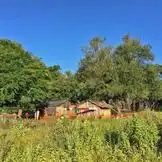 Purchasing forest Mbyá