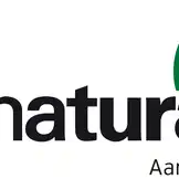 Purchasing forest Mbyá