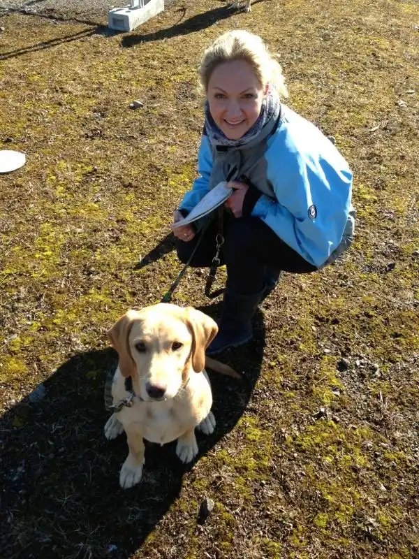 Nikolaj und Kalles Homeage ist online