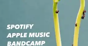 GAME CHANGER is Herr - and the work goes in!