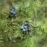 Bar Centrale in Luzern