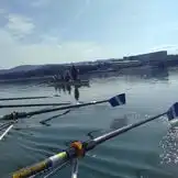 Pizokel will be retired.