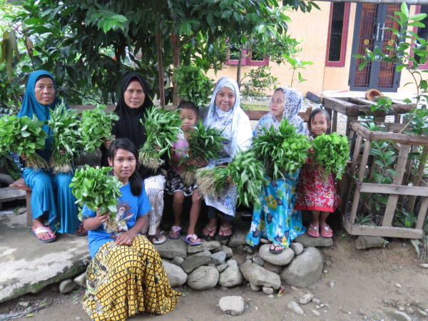 FICUS Projekt Sumatra