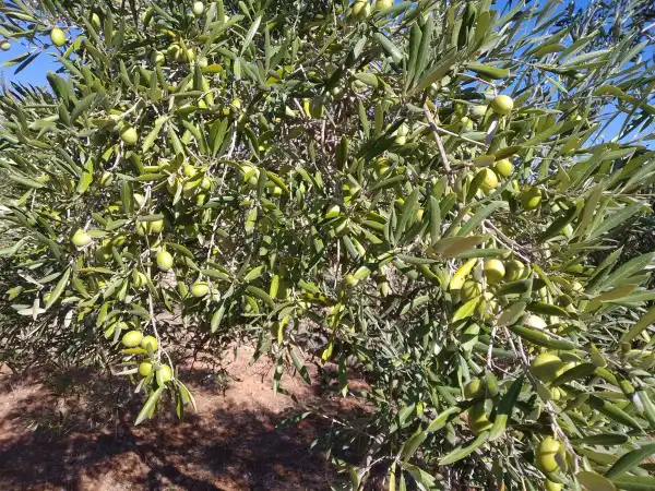 Ihr seid beliefert! :-) 