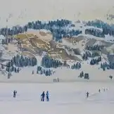 100Grüsse aus der Schweiz