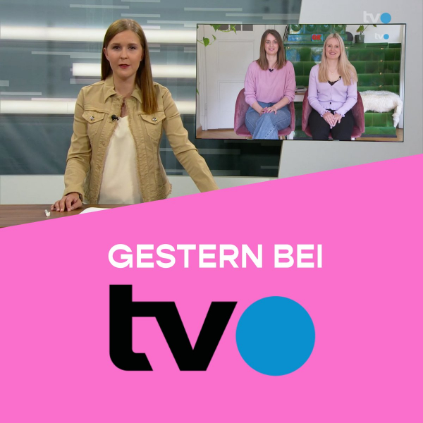 NO SHAME IN THE GAME BEI TVO