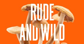 Neue Single: RUDE AND WILD