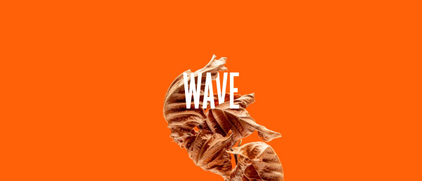 Neue Single WAVE - Albumankündigung und Tourdaten