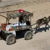 Mind Patrol - Album #2