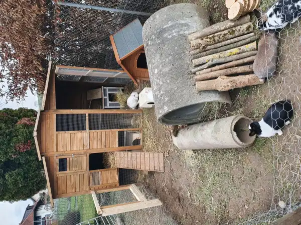 Neue Bewohner sind angekommen 