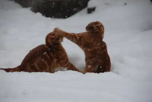 Was für eine Nacht!