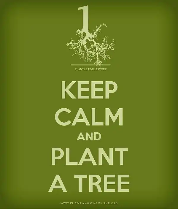 Keep calm and...