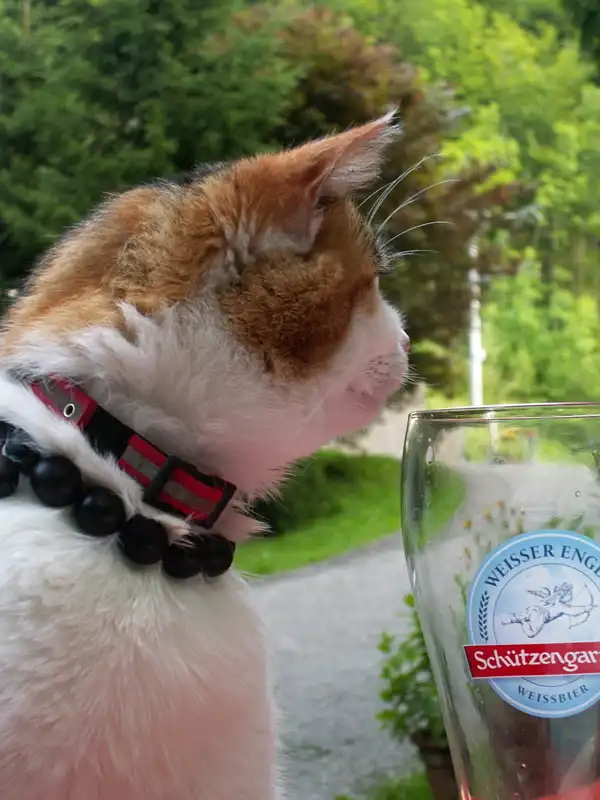 Liebesgrüsse aus Moskau