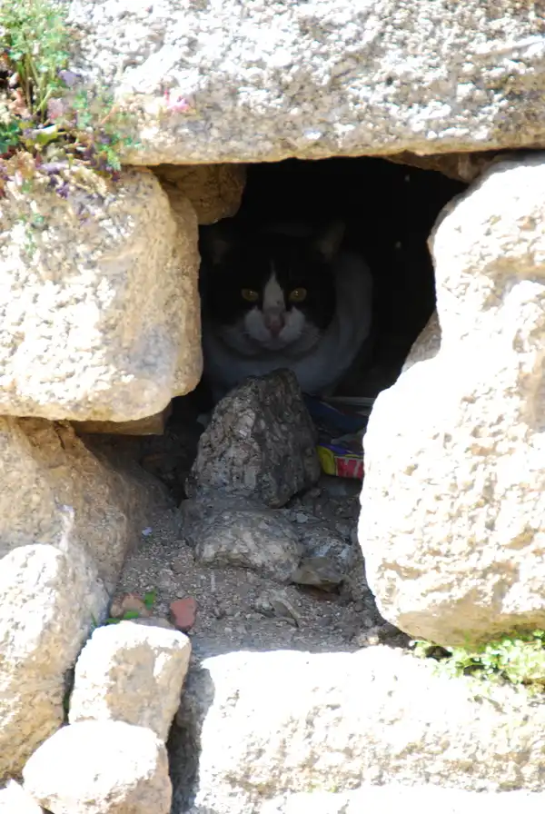 Über Freud und Leid von Überraschungen