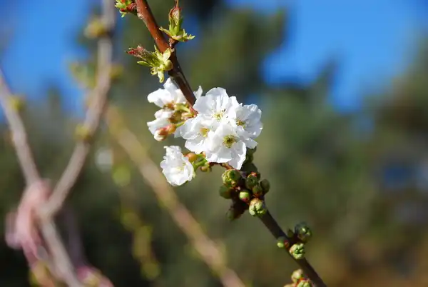 RON ORP MACHT UNS GLÜCKLICH!