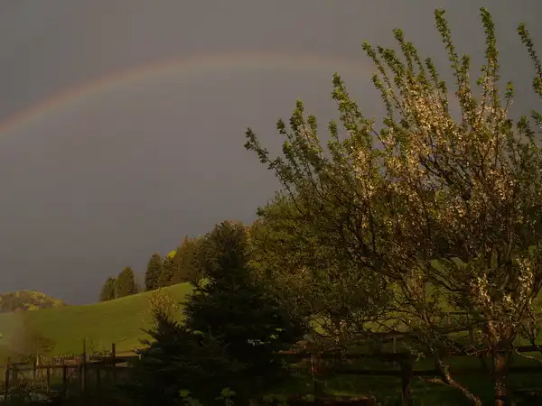 Leaving Eggersriet never easy