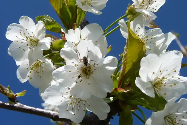 Das Ende einer Reise