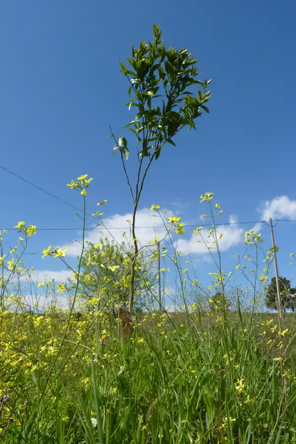 ACHTUNG, neuer Kontostand!