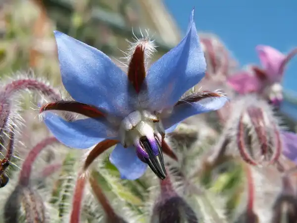 Noch 499 Franken bis zum Ziel