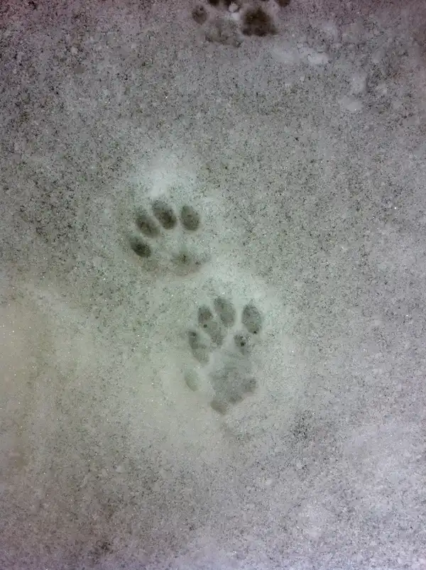 Neues Goodie - letzte Gelegenheit!