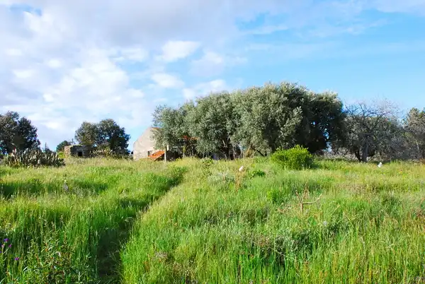 FORTSETZUNG FOLGT...