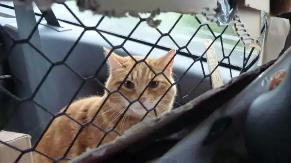 REISEBERICHT TEIL 1: Das Tor in die Zukunft öffnet sich mit knarrenden Scharnieren