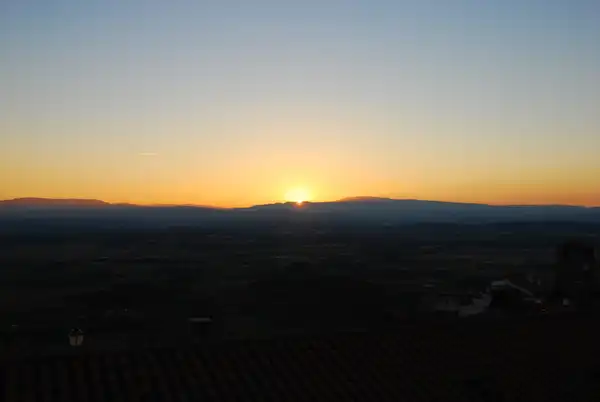 IN MONSANTO MIT FLUSSPFERD UND OLIVE